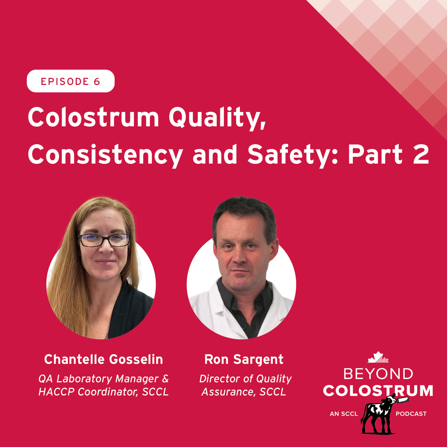 Colostrum Quality, Consistency and Safety: Part 2 episode artwork